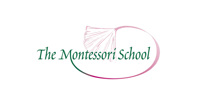Montessori Feature The Montessori School finds IT peace of mind