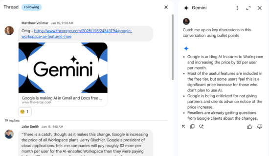 Gemini chat summary